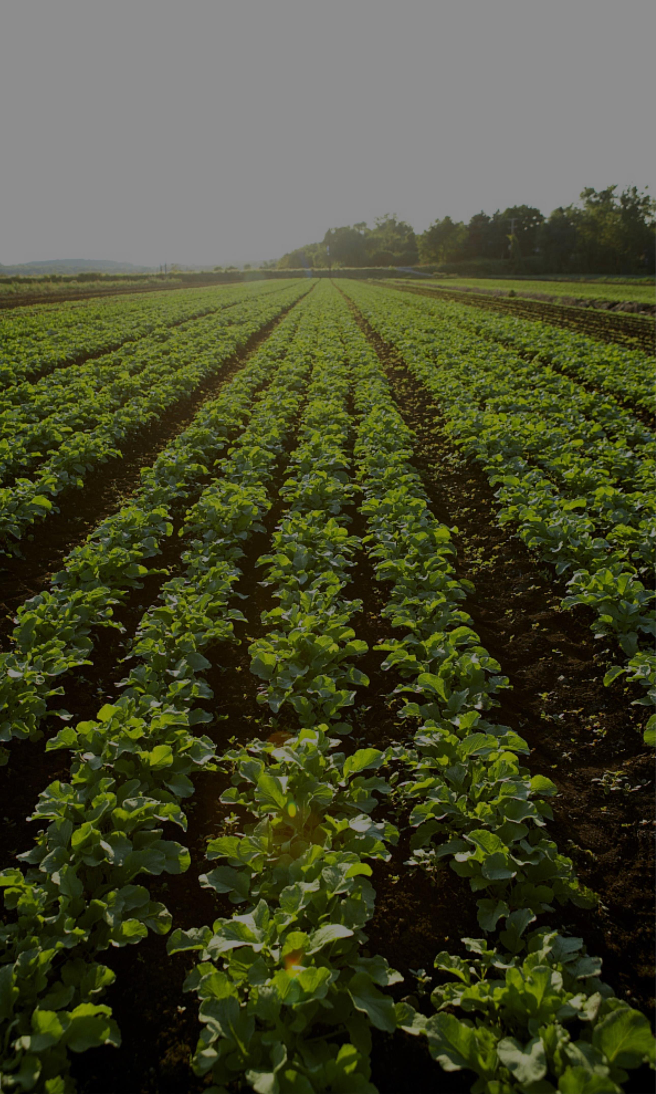 201903291410555c9db6ef71c2b