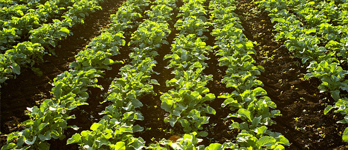 201903291411075c9db6fb5d63d