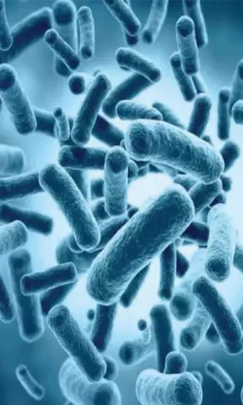 201907031644125d1c6adc10213