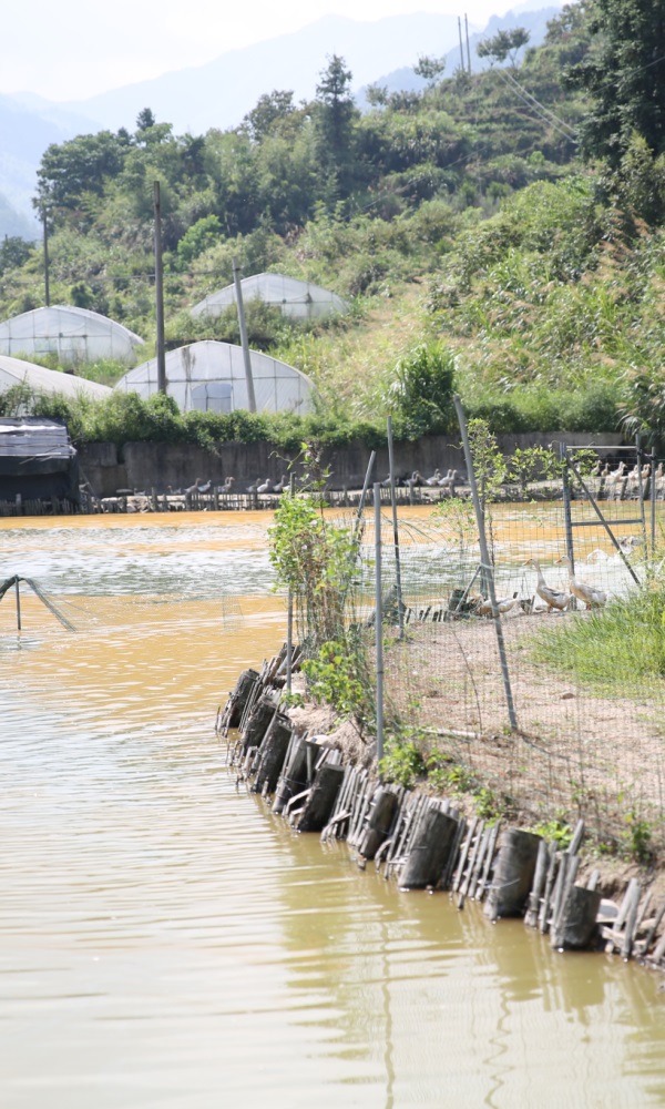 20231026150131653a0ecbd7d7f